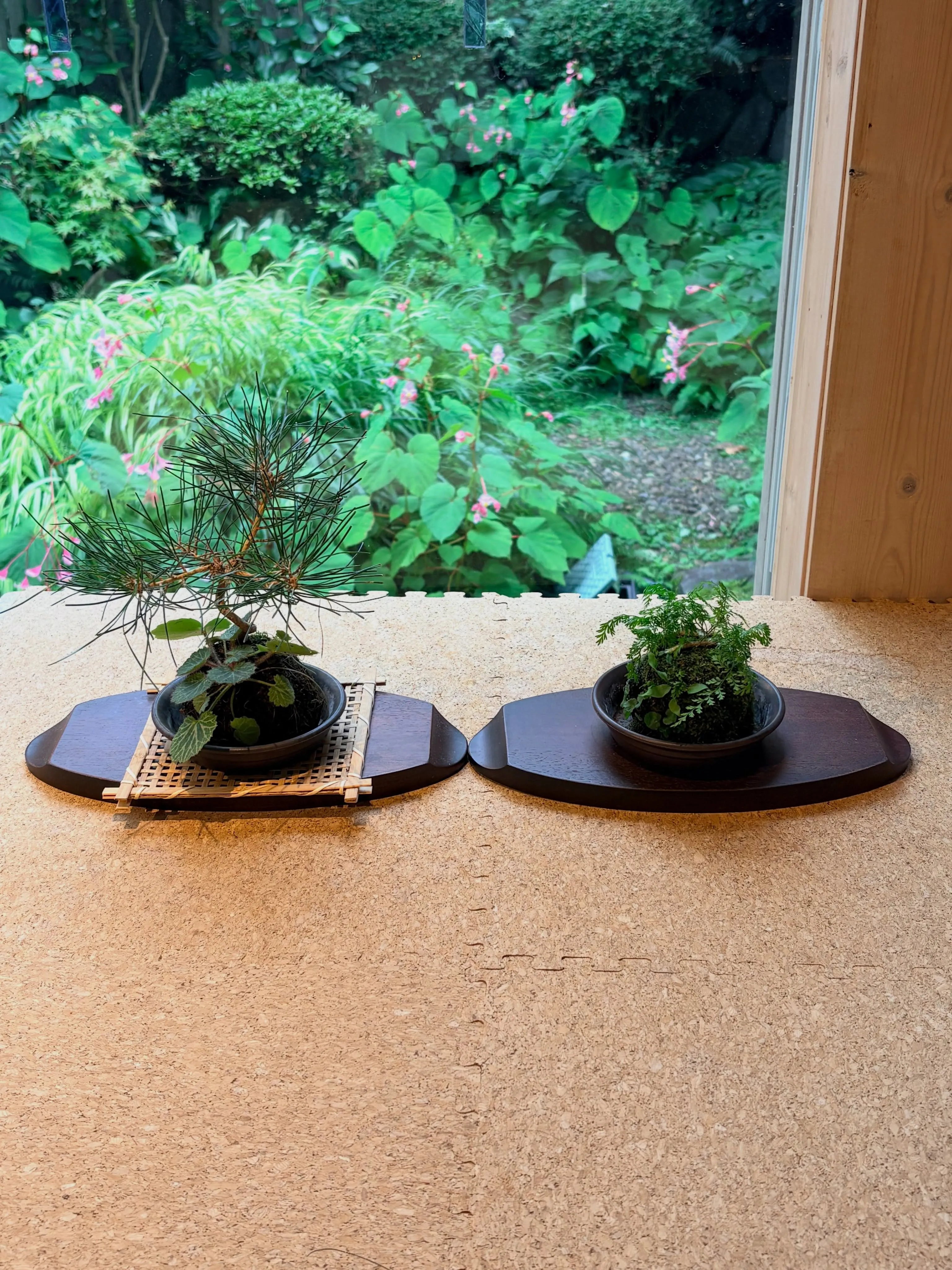 🌿 9月に入りました🌿