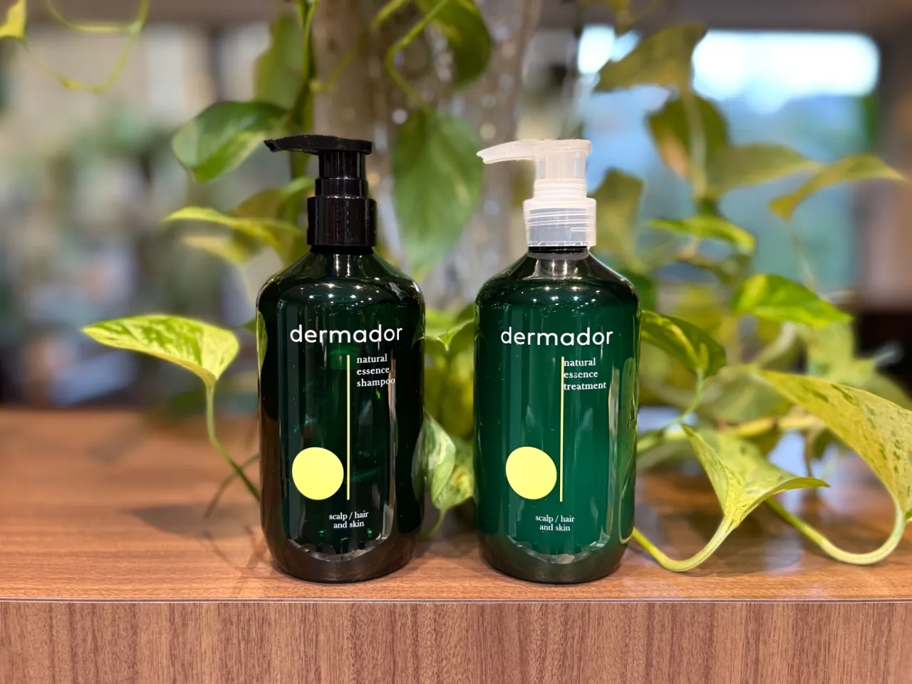 dermador  ナチュラル エッセン スシャンプー