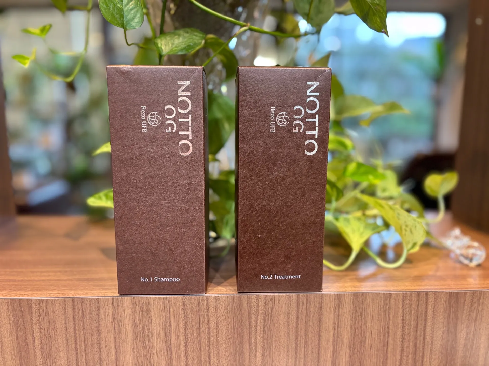 NOTTO OG NO.1 シャンプー
